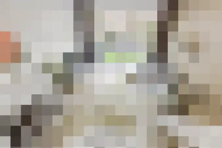Van Iddekingeweg 138 60 Groningen thumbnail 14