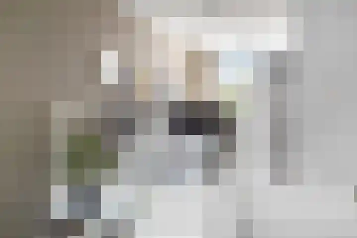Van Iddekingeweg 138 60 Groningen thumbnail 15