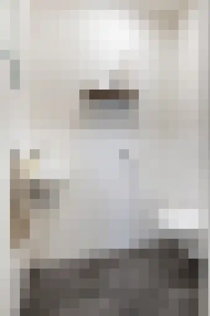 Van Iddekingeweg 138 60 Groningen thumbnail 19