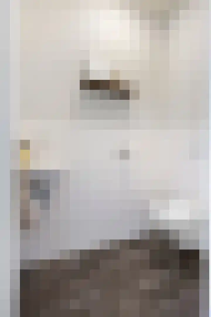 Van Iddekingeweg 138 60 Groningen thumbnail 29