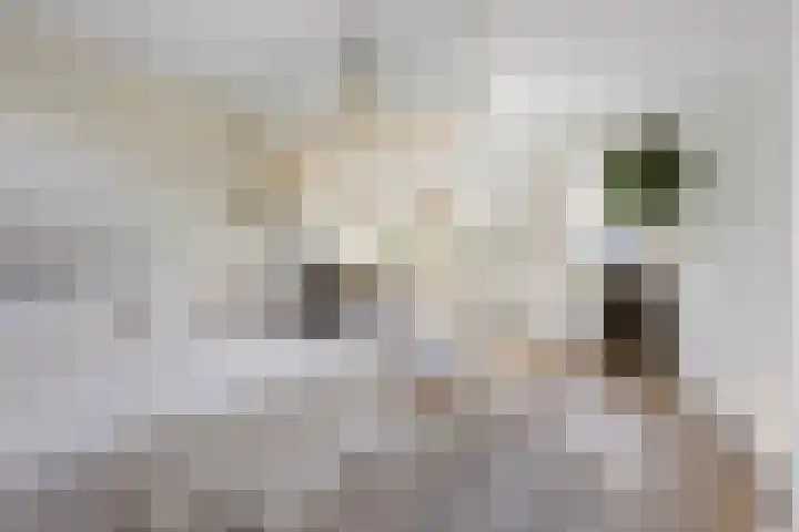 Van Iddekingeweg 138 60 Groningen thumbnail 31