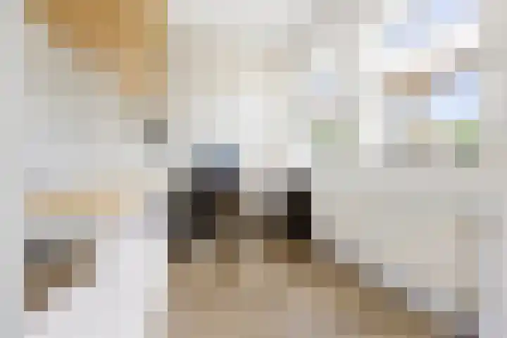 Van Iddekingeweg 138 60 Groningen thumbnail 32