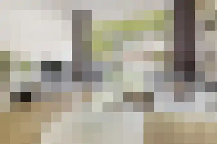 Van Iddekingeweg 138 60 Groningen thumbnail 6