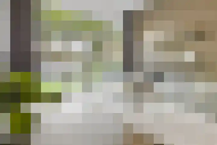 Van Iddekingeweg 138 60 Groningen thumbnail 7