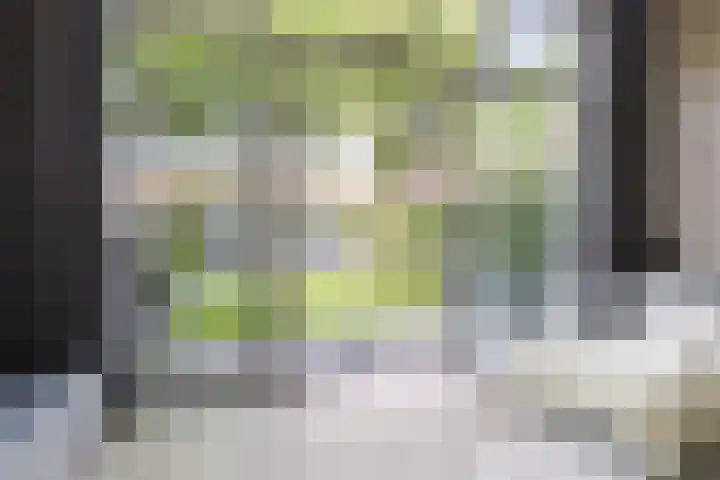 Van Iddekingeweg 138 60 Groningen thumbnail 8