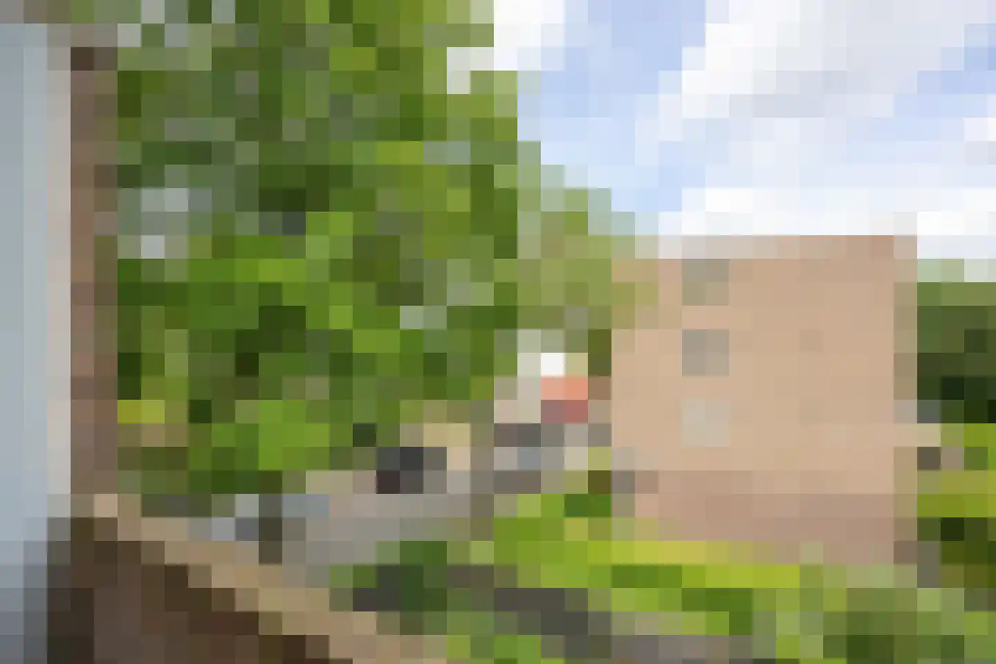 Van Iddekingeweg 145 Groningen thumbnail 28