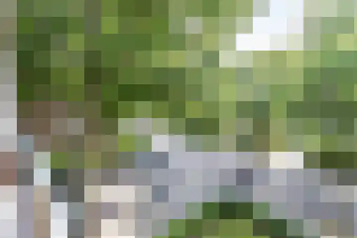 Van Iddekingeweg 161 Groningen thumbnail 18