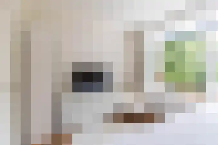 Van Iddekingeweg 161 Groningen thumbnail 21