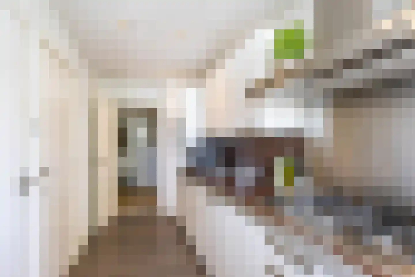 Van Iddekingeweg 161 Groningen thumbnail 27