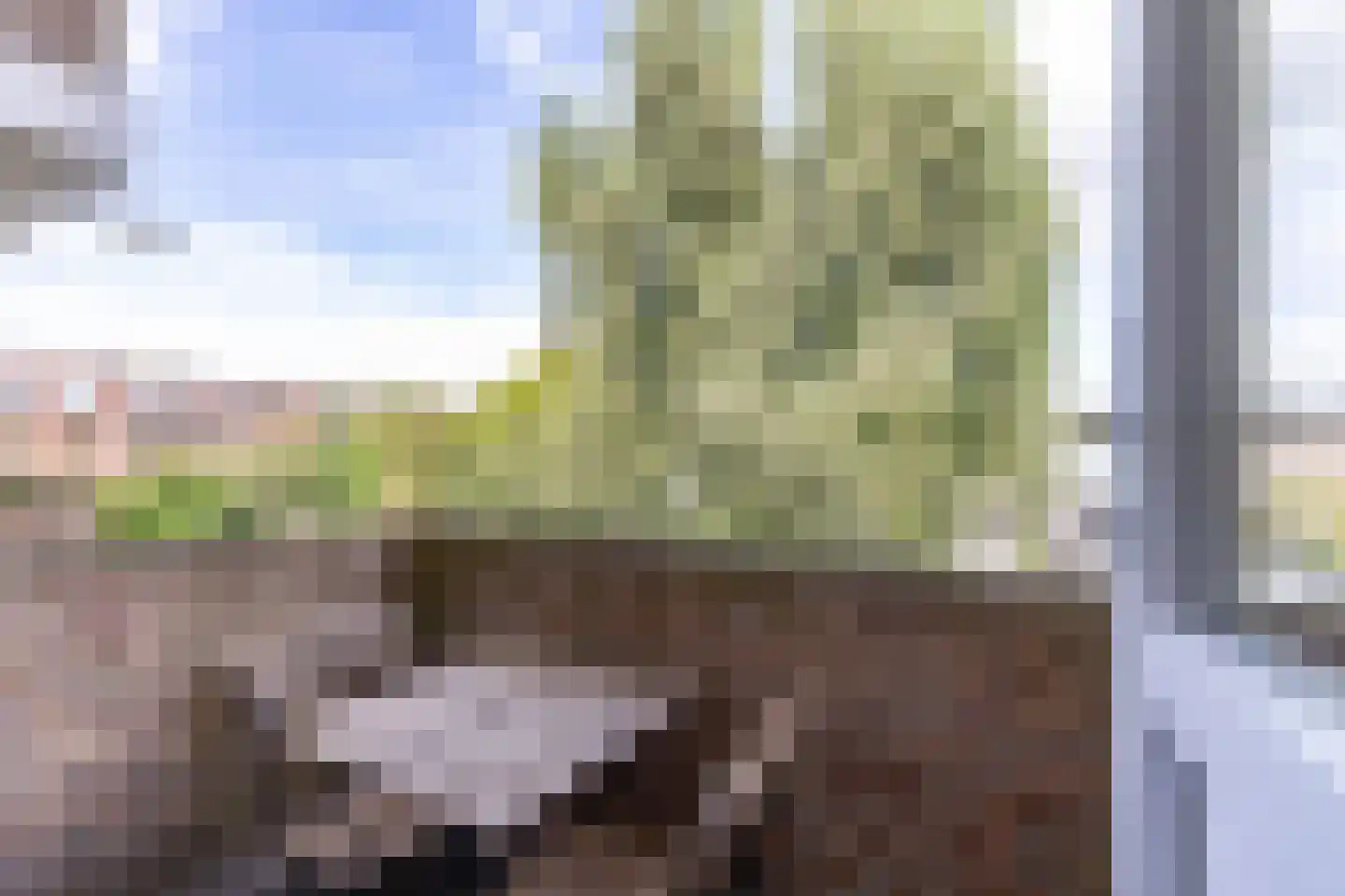 Van Iddekingeweg 161 Groningen thumbnail 32