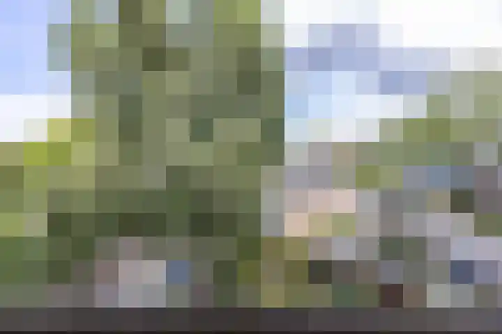 Van Iddekingeweg 161 Groningen thumbnail 33