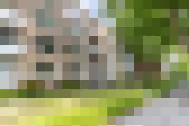 Van Iddekingeweg 161 Groningen thumbnail 34