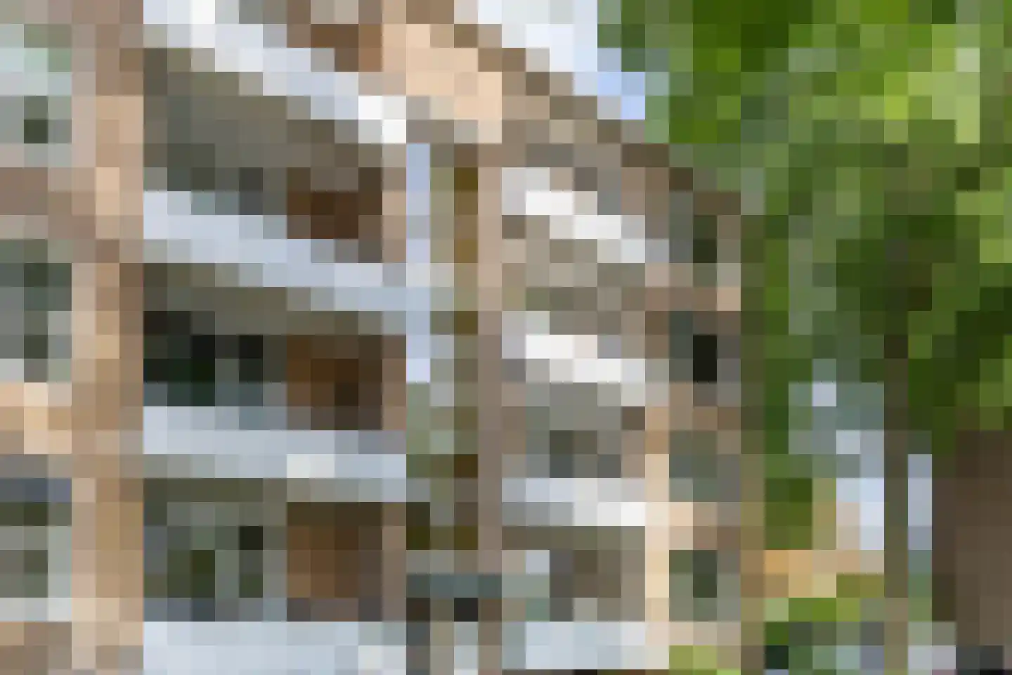 Van Iddekingeweg 161 Groningen thumbnail 39