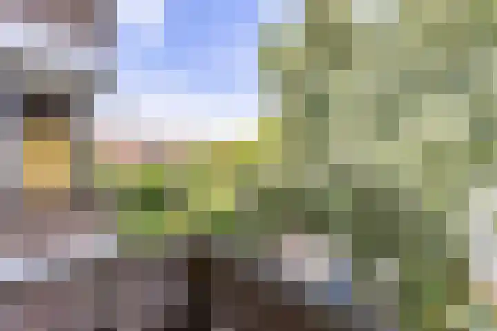 Van Iddekingeweg 161 Groningen thumbnail 41
