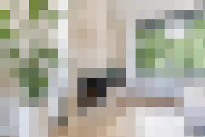 Van Iddekingeweg 161 Groningen thumbnail 42