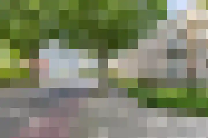 Van Iddekingeweg 161 Groningen thumbnail 5