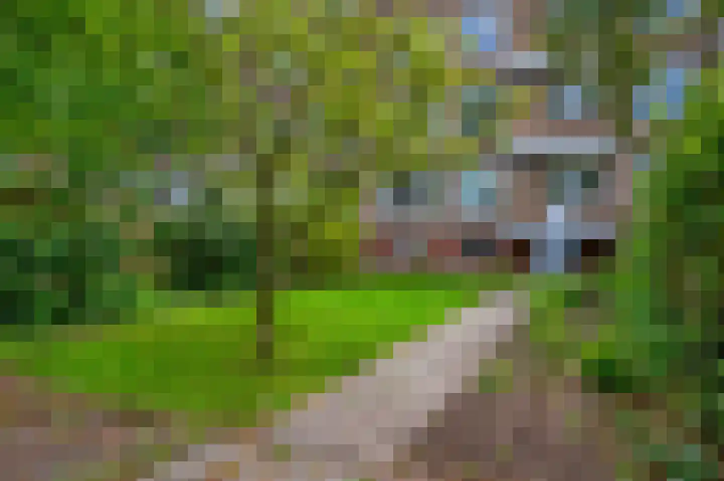 Van Iddekingeweg 167 Groningen thumbnail 38
