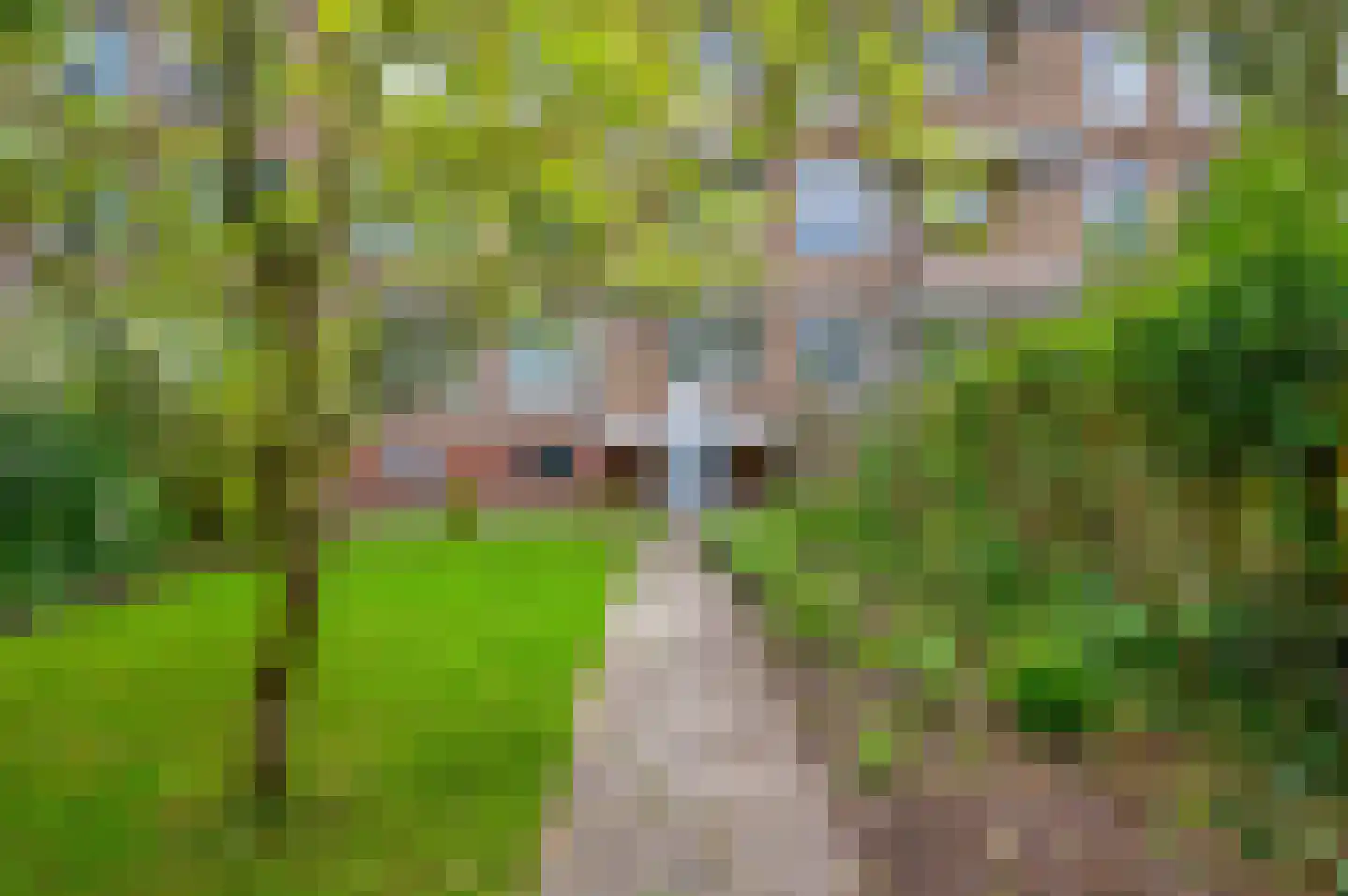 Van Iddekingeweg 167 Groningen thumbnail 39