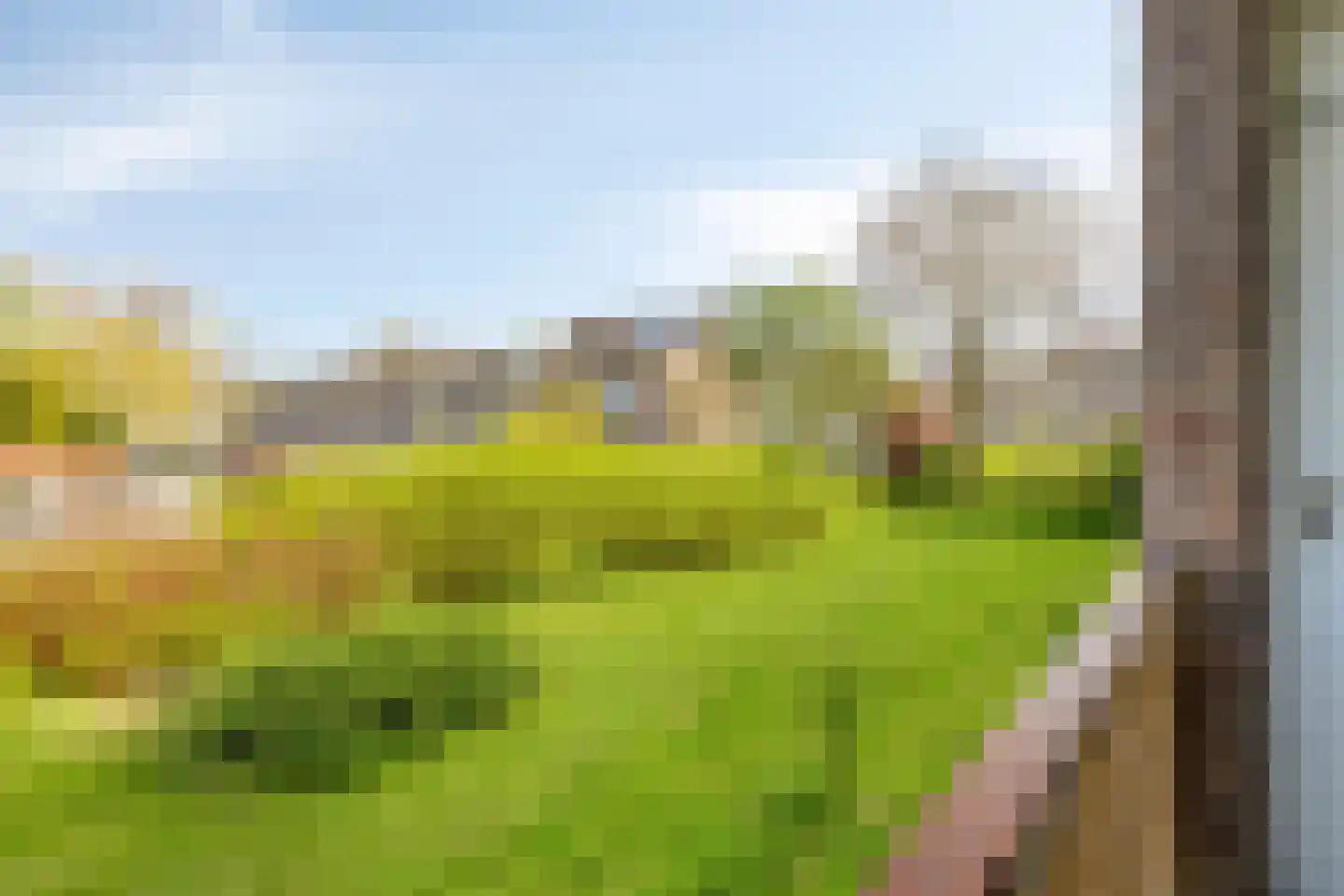 Van Iddekingeweg 168 Groningen thumbnail 30