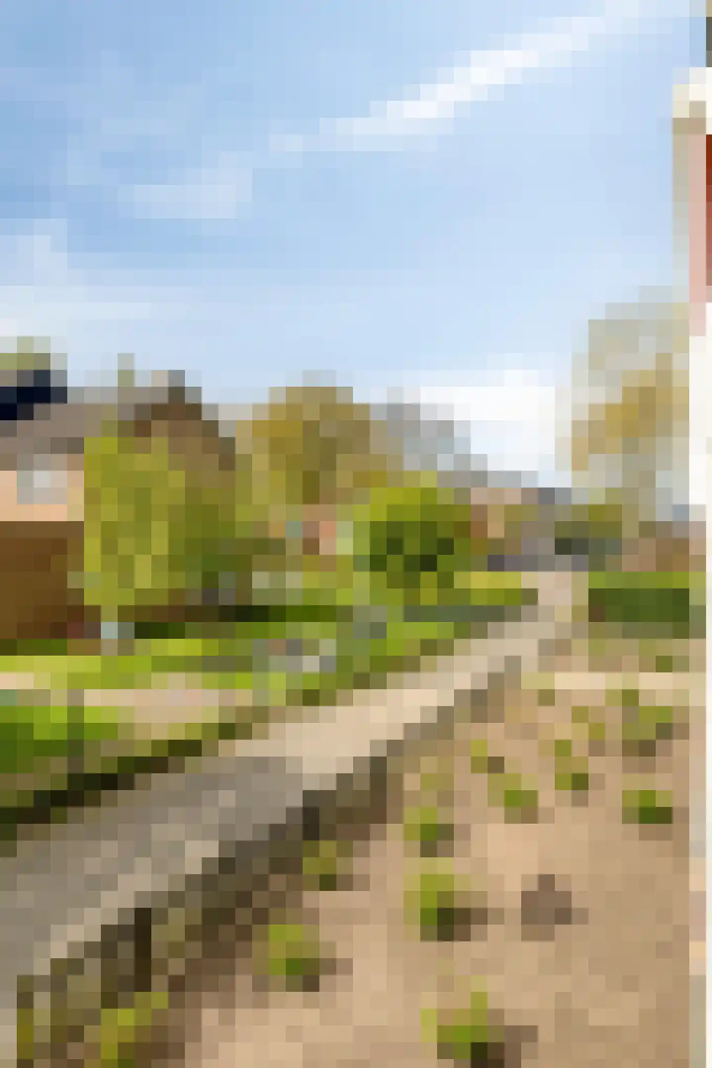 Van Iddekingeweg 168 Groningen thumbnail 32