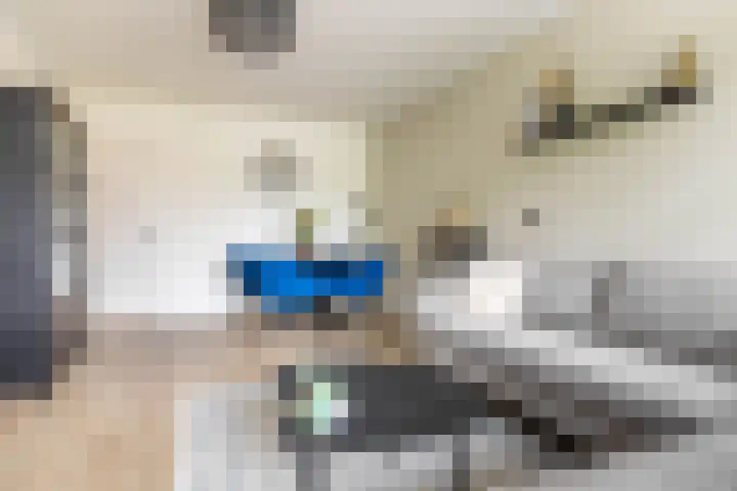 Van Iddekingeweg 170 Groningen thumbnail 15