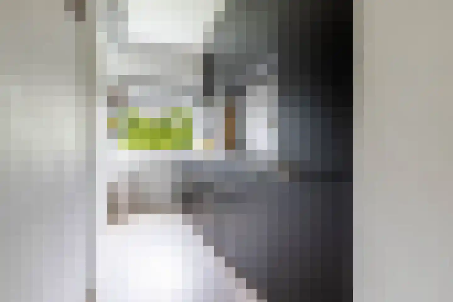 Van Iddekingeweg 170 Groningen thumbnail 18