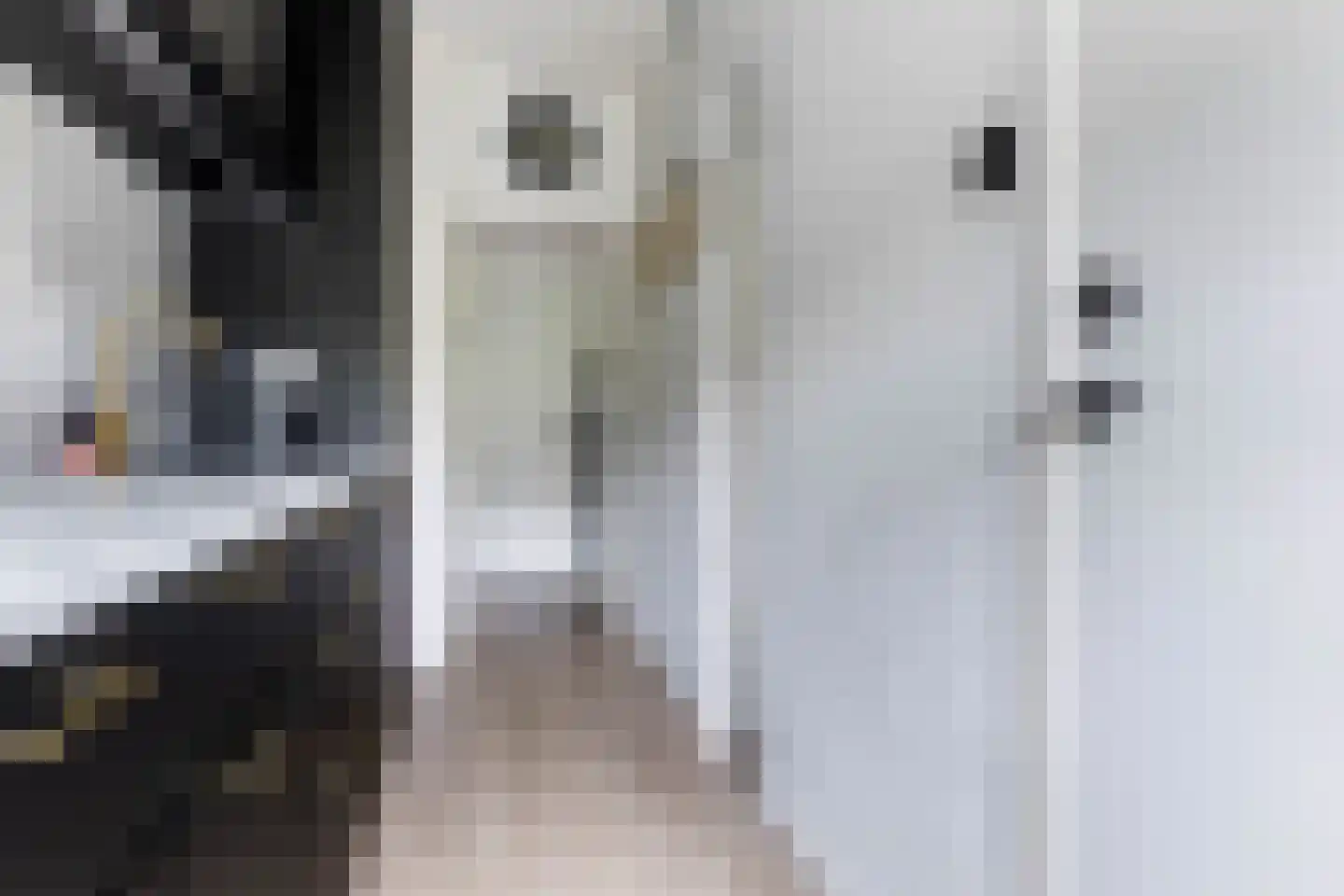 Van Iddekingeweg 170 Groningen thumbnail 20