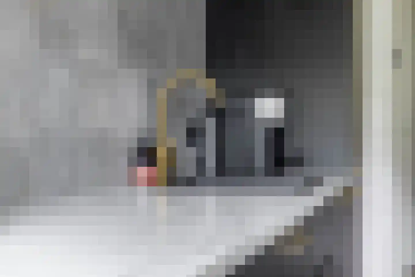 Van Iddekingeweg 170 Groningen thumbnail 21