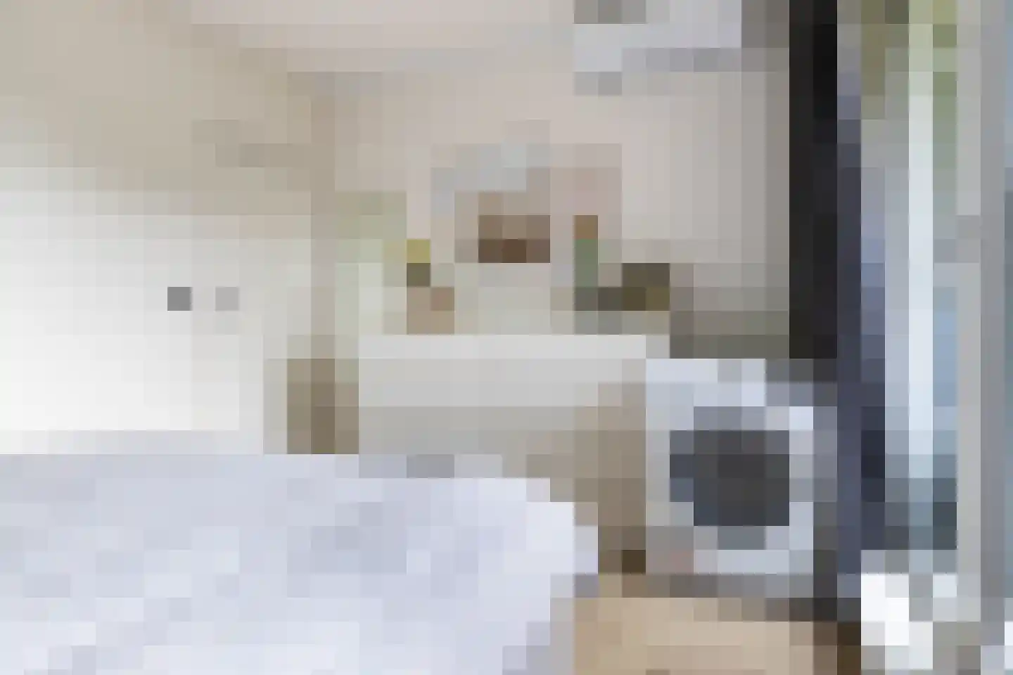 Van Iddekingeweg 170 Groningen thumbnail 24