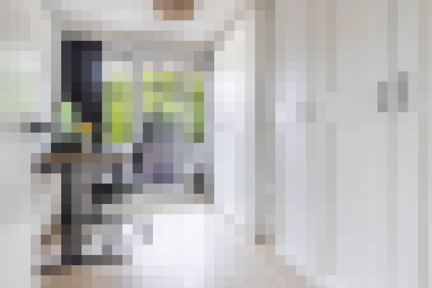 Van Iddekingeweg 170 Groningen thumbnail 27