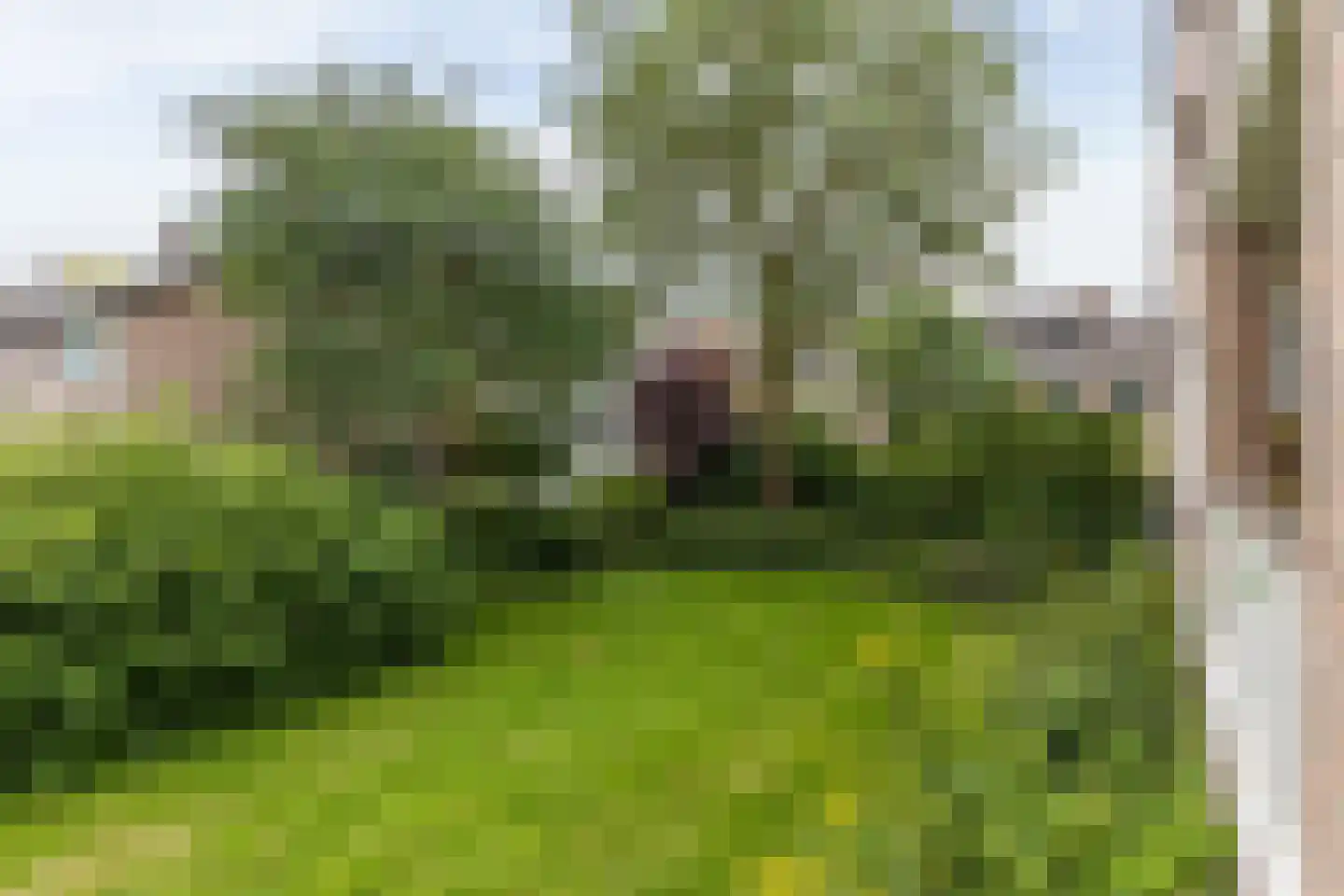 Van Iddekingeweg 170 Groningen thumbnail 31