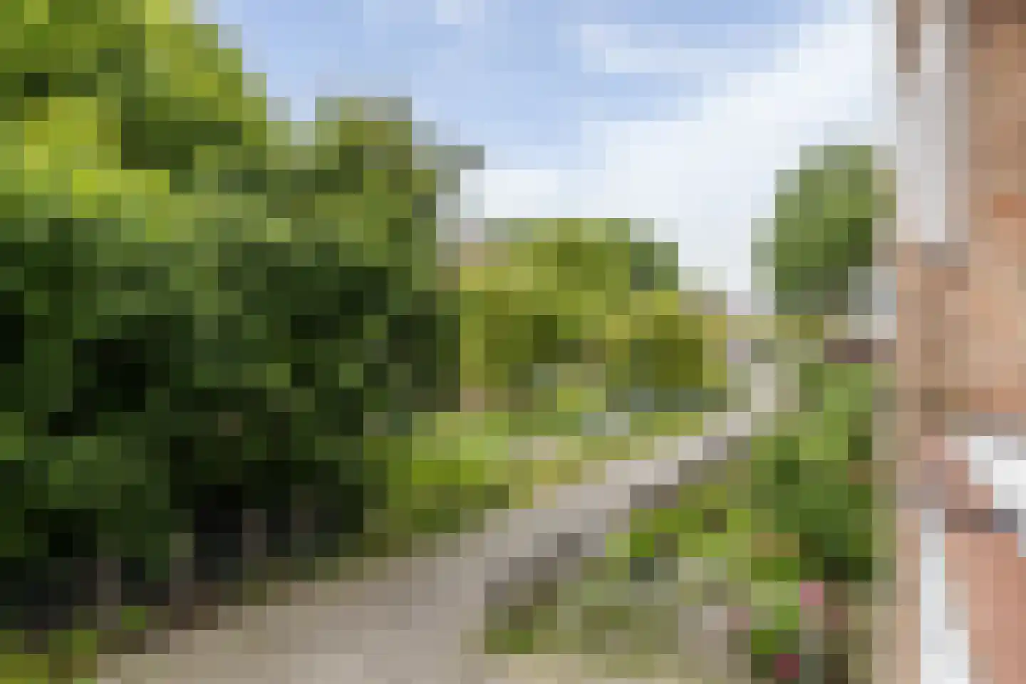 Van Iddekingeweg 170 Groningen thumbnail 33