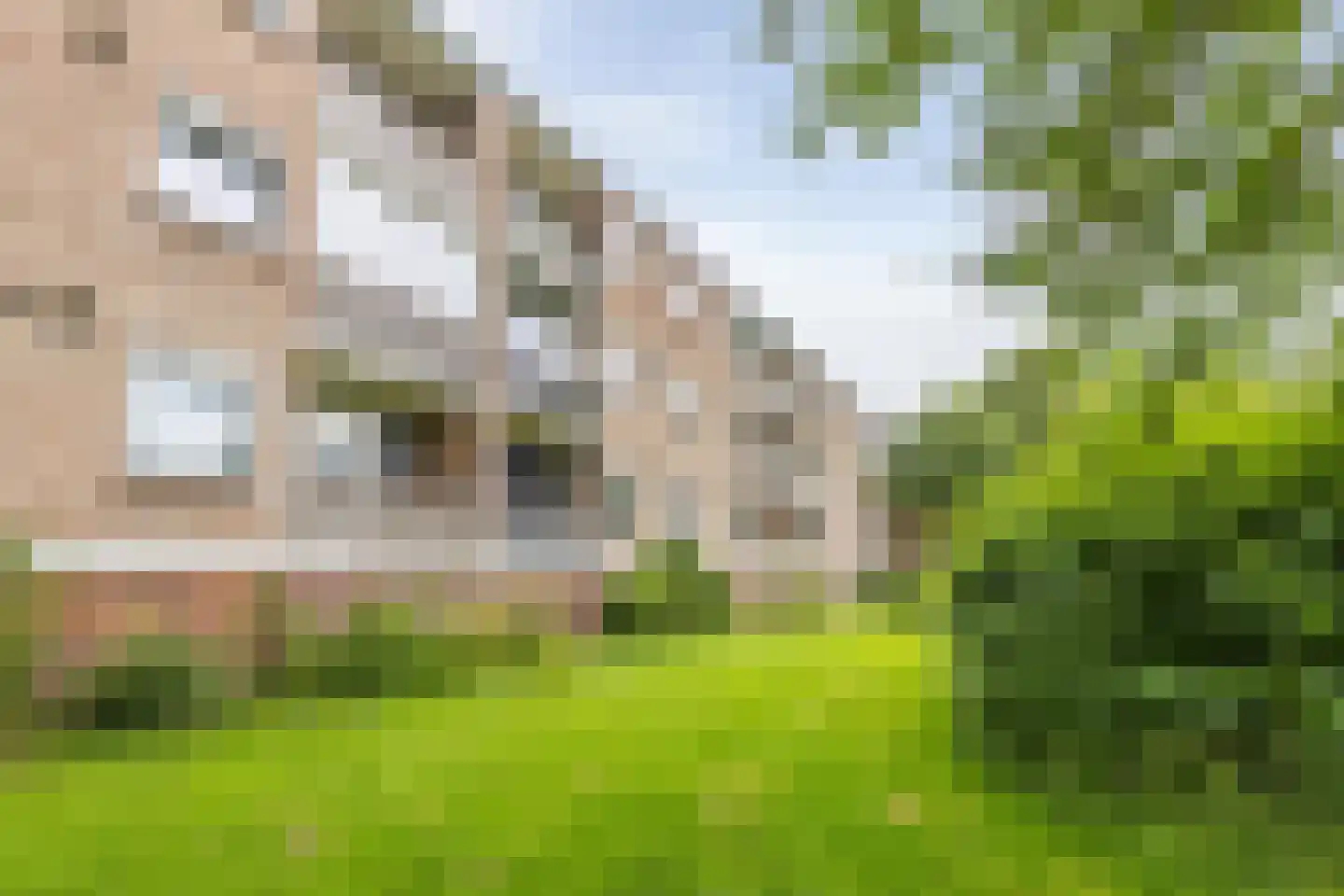 Van Iddekingeweg 170 Groningen thumbnail 39