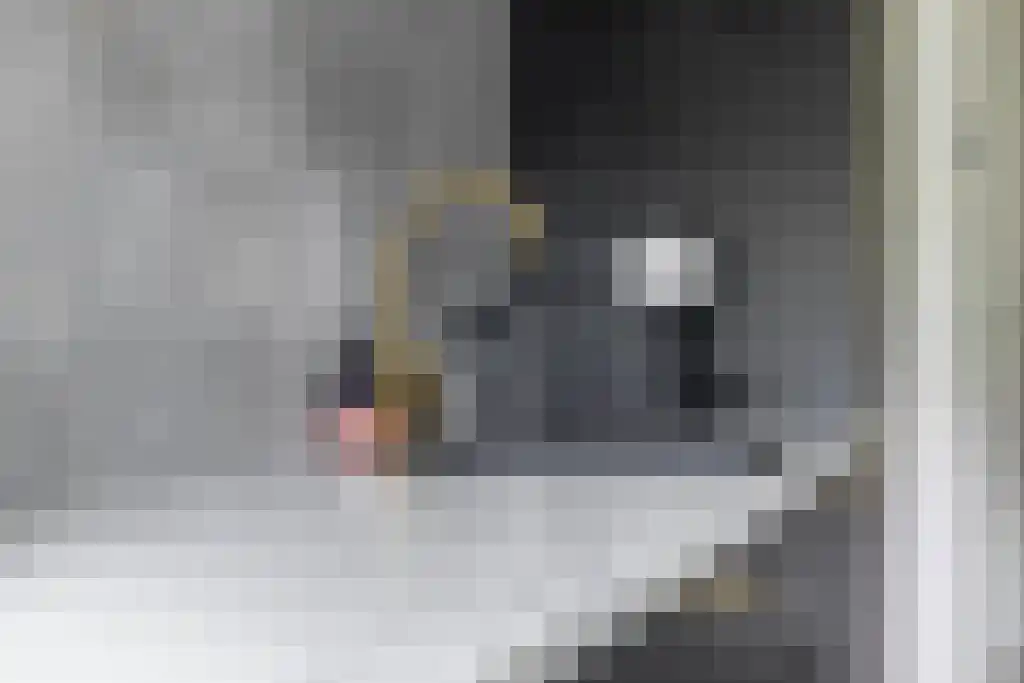 Van Iddekingeweg 170 Groningen thumbnail 4