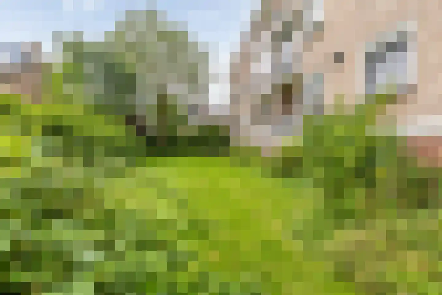 Van Iddekingeweg 170 Groningen thumbnail 40