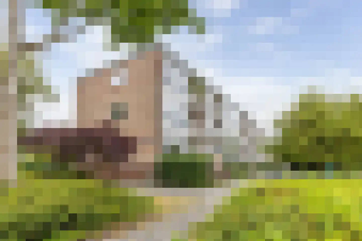 Van Iddekingeweg 170 Groningen thumbnail 6