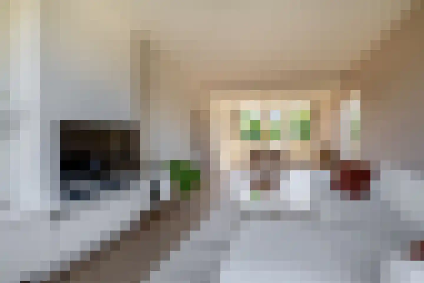 Van Iddekingeweg 184 Groningen thumbnail 15