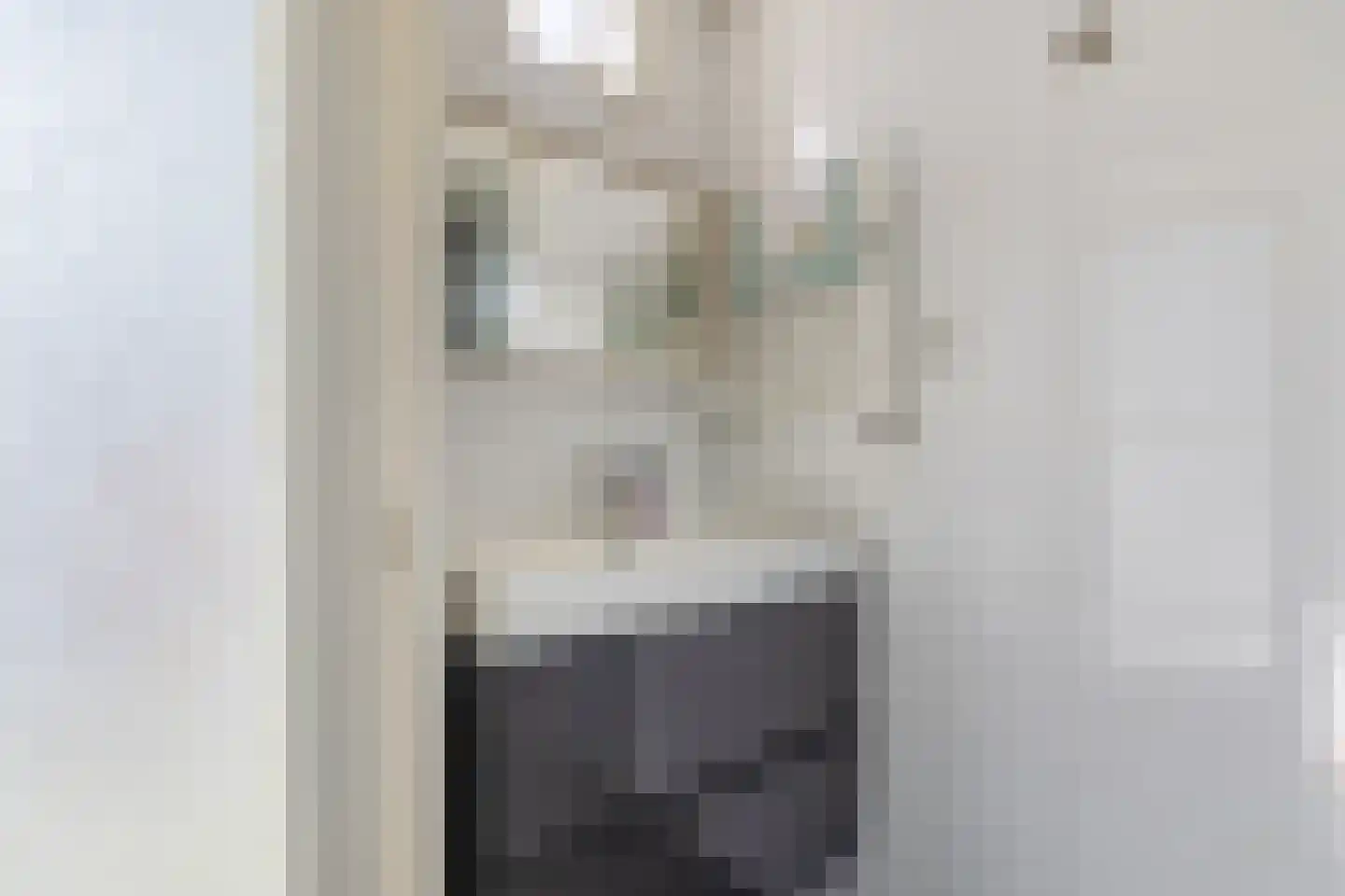 Van Iddekingeweg 184 Groningen thumbnail 28