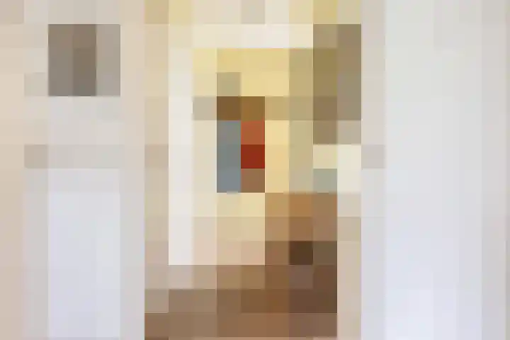 Van Iddekingeweg 188 Groningen thumbnail 18