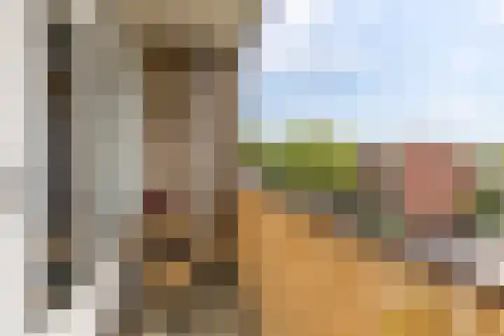 Van Iddekingeweg 188 Groningen thumbnail 29