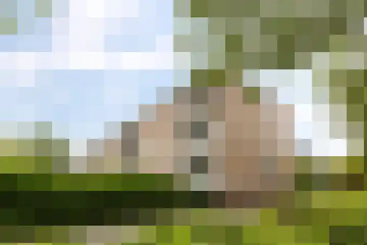 Van Iddekingeweg 188 Groningen thumbnail 33