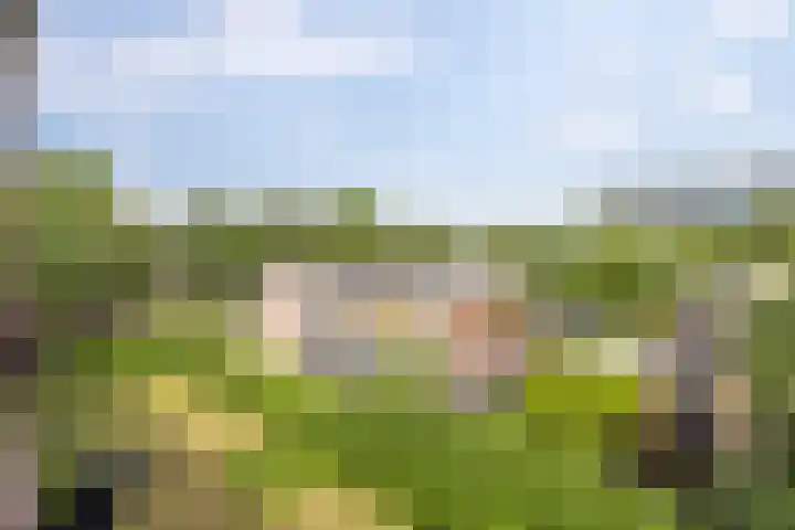 Van Iddekingeweg 188 Groningen thumbnail 4