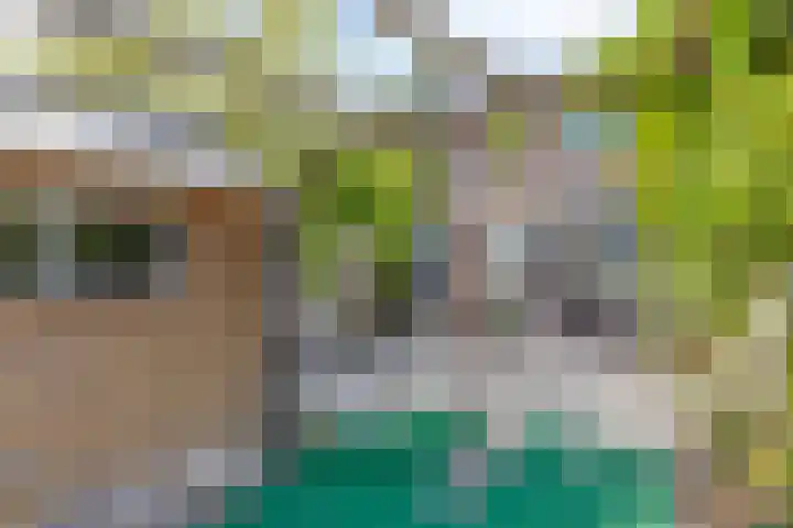 Van Iddekingeweg 196 Groningen thumbnail 29