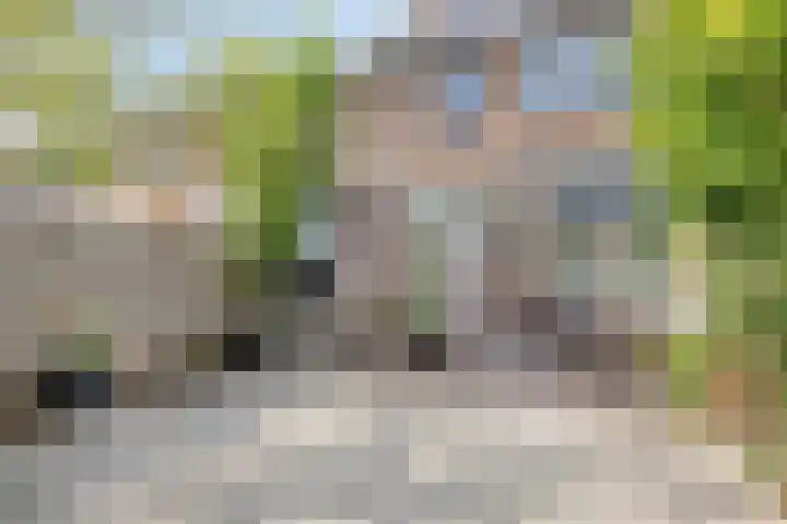 Van Iddekingeweg 196 Groningen thumbnail 4