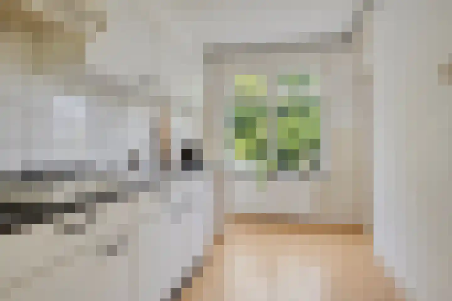 Van Iddekingeweg 21 Groningen thumbnail 12