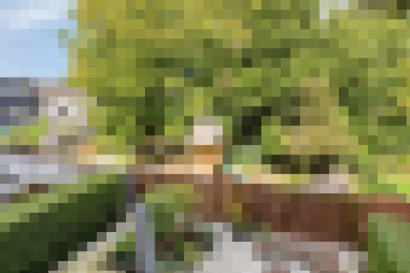 Van Iddekingeweg 21 Groningen thumbnail 20