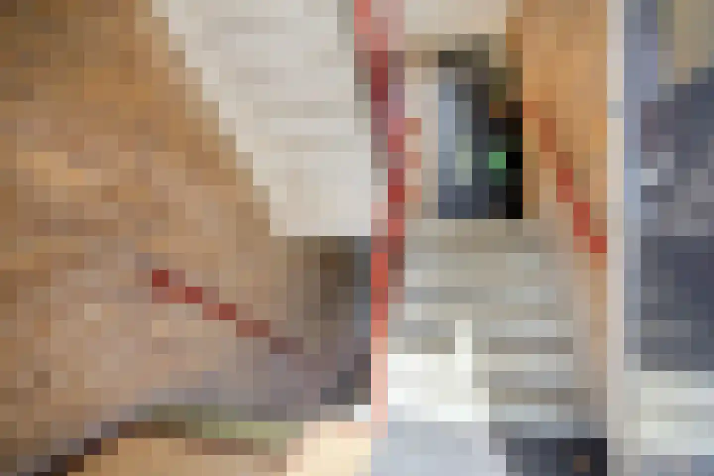 Van Iddekingeweg 21 Groningen thumbnail 22