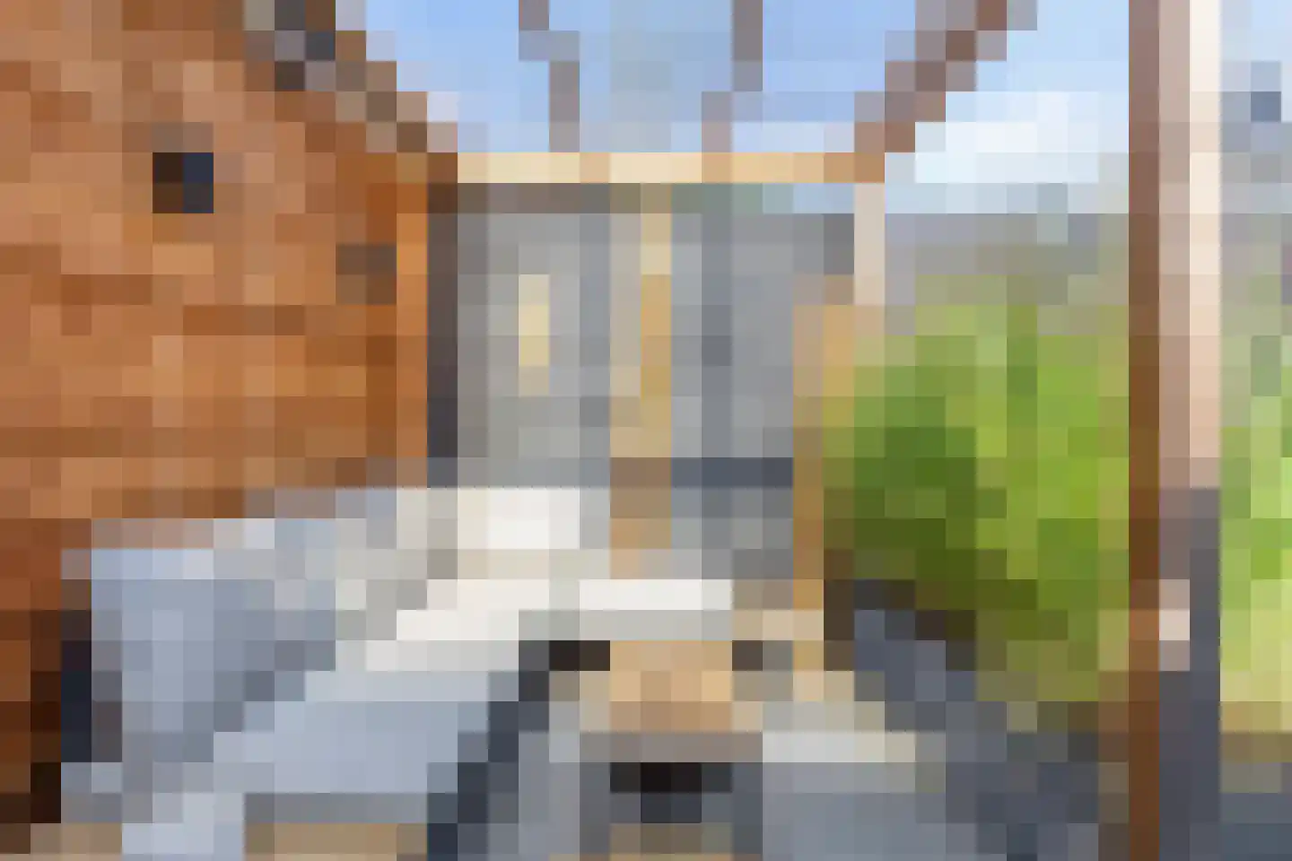 Van Iddekingeweg 29 h Groningen thumbnail 25