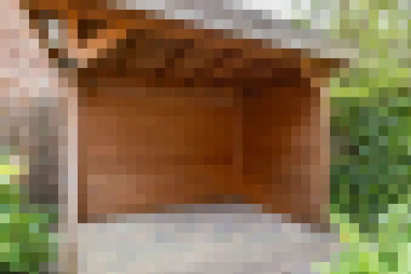 Van Iddekingeweg 6 Groningen thumbnail 24