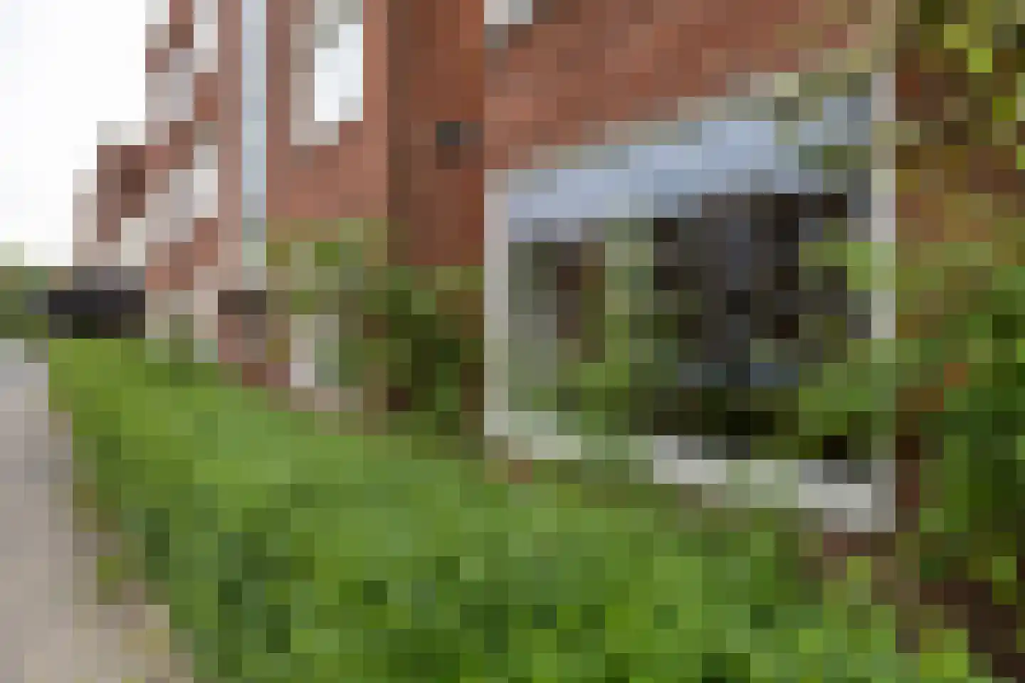Van Iddekingeweg 6 Groningen thumbnail 30